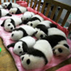 Meet your Posher, Cynthia